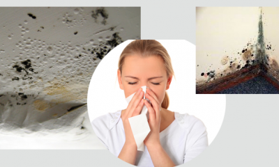 2 metode de a scapa de mucegaiul din locuinte