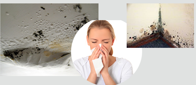 2 metode de a scapa de mucegaiul din locuinte