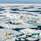 Oamenii de știință confirmă faptul că temperaturile din zona arctică sunt cu 20 de grade peste cele normale