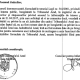 EXPLOZIV/CAZUL COTOFANA! Cine sunt “calaii” judecatoarei din Arad exclusa din magistratura? Umbra unui fost general din SRI, deasupra intereselor care puteau proteja practicile penale din sistem