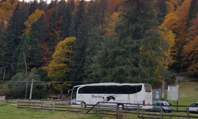 Vrei sa inchiriezi un autocar? Iata tot ce trebuie sa stii!