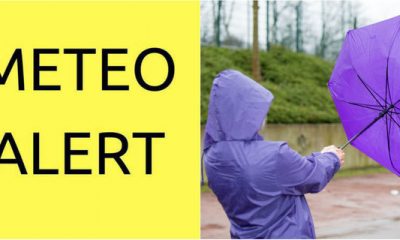 COD GALBEN de vânt puternic, până la ora 21.00. Sunt vizate 23 de judeţe