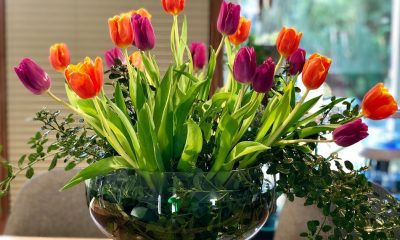 Ce preferinte au membrii generatiilor X si Y din Constanta cand vine vorba de achizitia de flori online
