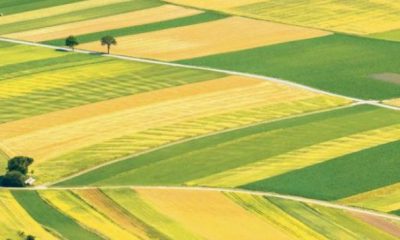 EXCLUSIV Cât au luat străinii din teritoriul ţării. Harta României aşa cum nu ai mai văzut-o | Nationalul.ro