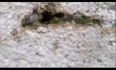 EXPLOZIV/Denunt penal referitor la distrugerea metodica si continua a Ansamblului Brancusi