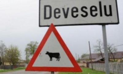 Ce spune Rusia după gafa ministrului Mihai Fifor | Nationalul.ro