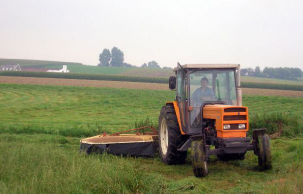 Veste bună pentru fermieri: Vor primi bani | Nationalul.ro