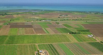 LUNI EXCLUSIV Tun imobiliar cu terenuri gratuite de la stat: Judeţul Arad | Nationalul.ro