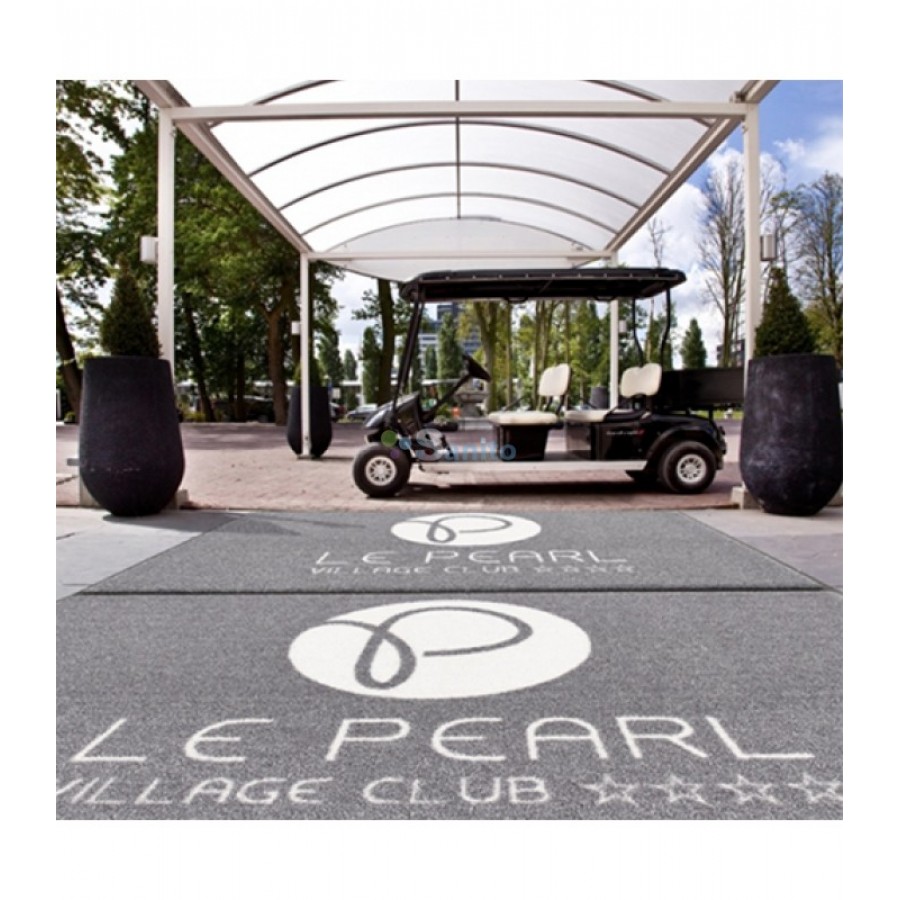 O sala de fitness profesionista