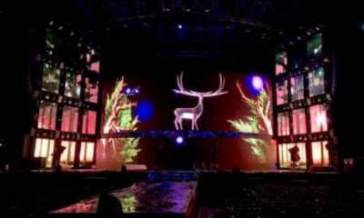 Scandal monstru la TVR! Oficialii au aruncat cu bani publici la Cerbul de Aur! Cui au plătit 40.000 de aur pentru doar 15 minute de prezentare | Nationalul.ro