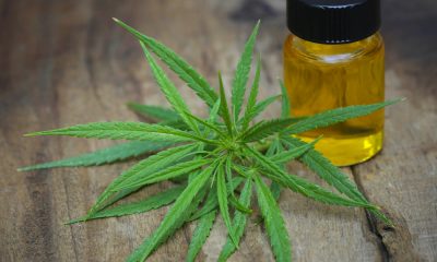 Tot ce trebuie sa stii despre extractul CBD pur si beneficiile oferite de acesta