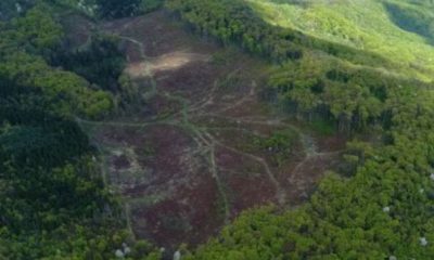 MASACRU într-un parc naţional din România! VIDEO | Nationalul.ro