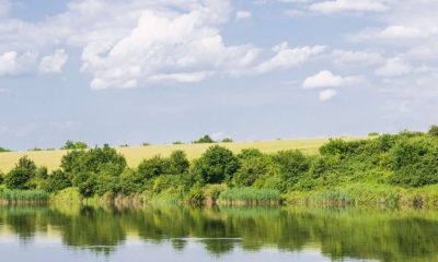 Weekend perfect in mijlocul naturii la Padurea Cernica – gratar, distractie si aer liber!