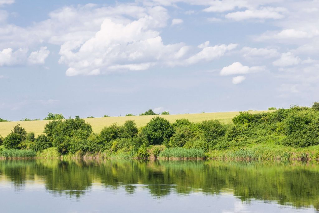 Weekend perfect in mijlocul naturii la Padurea Cernica – gratar, distractie si aer liber!