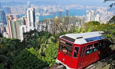 Țara cu cea mai mare speranță de viață din lume produce doi noi miliardari pe săptămână | Nationalul.ro