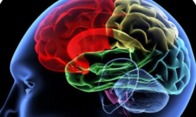 Implantul cerebral care anunță armata viitorului | Nationalul.ro