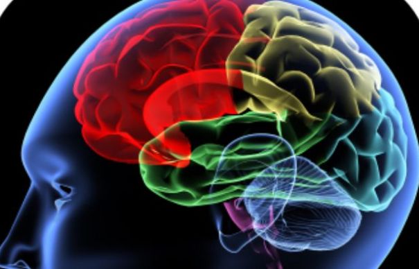 Implantul cerebral care anunță armata viitorului | Nationalul.ro