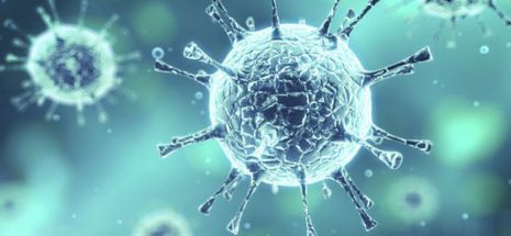 Pericol de moarte! Focar de nou virus. Aceste produse ar putea fi infectate | Nationalul.ro