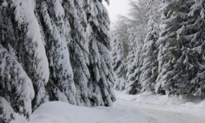 Vremea se înrăutățește. Vine POTOPUL! Vezi ce ne asteaptă | Nationalul.ro