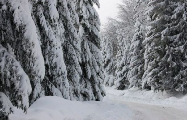 Vremea se înrăutățește. Vine POTOPUL! Vezi ce ne asteaptă | Nationalul.ro