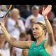 Anunț de ultimă oră! Halep caută antrenor. Se întoarce la Andrei Pavel? | Nationalul.ro