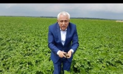 Suntem pe primul loc în UE la porumb şi floarea soarelui | Nationalul.ro