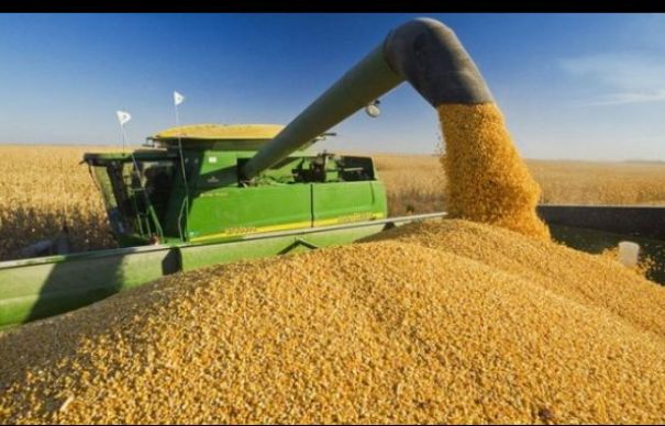 Agricultura românească atrage privirile Europei. Rezultatele anului 2018 sunt istorice. Cât a afectat pesta porcină | Nationalul.ro