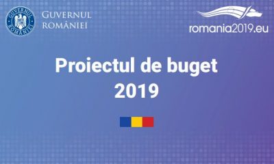 Guvernul României a adoptat astăzi bugetul pe 2019