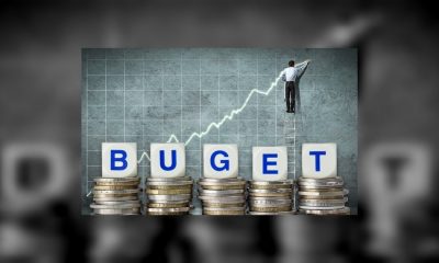 Guvernul a publicat proiectul de buget pe 2019