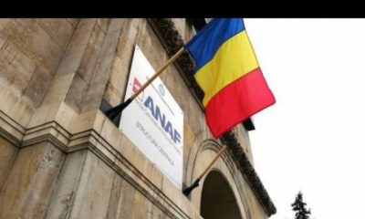 Lovitură la ANAF. Ce a decis Guvernul. Mihaela Triculescu trebuie să execute | Nationalul.ro
