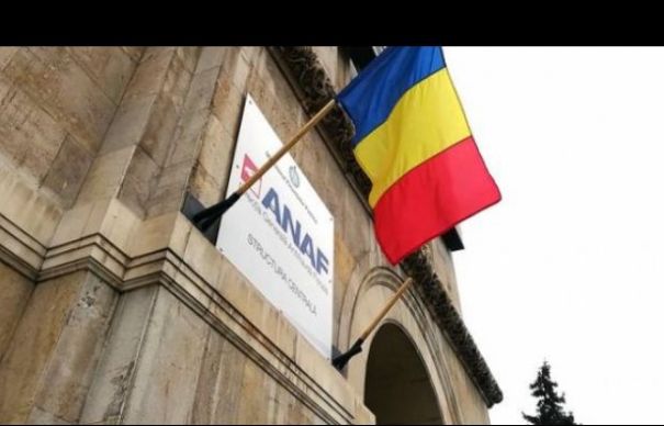 Lovitură la ANAF. Ce a decis Guvernul. Mihaela Triculescu trebuie să execute | Nationalul.ro