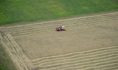 Nemţii bogaţi investesc în România! Ce domeniu le-a atras atenţia | Nationalul.ro