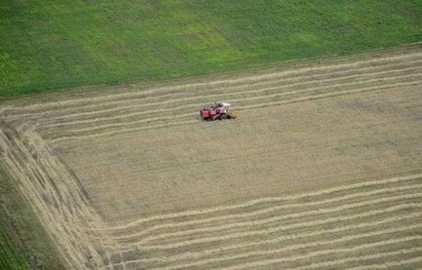 Nemţii bogaţi investesc în România! Ce domeniu le-a atras atenţia | Nationalul.ro