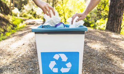 Scoala ideala colecteaza selectiv