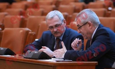 Liviu Dragnea îi pregătește un knock out de zile mari lui Tăriceanu! Lovitura care va năuci ALDE în curând (SURSE) – Nationalul.ro |