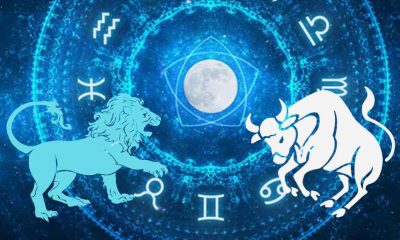 Trebuie să fii mai optimist şi să gândeşti pozitiv – Nationalul.ro |