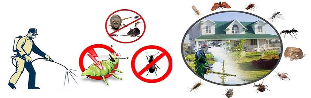 Scapa blocul de gandaci de bucatarie!