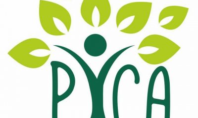 Insecticide pentru mere neviermanoase