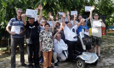 Cine sunt laureatii Cupei Verii la jocurile de societate AJCSPH