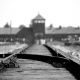 Trei generaţii ar putea fi afectate de efectele îngrozitoare ale Holocaustului
