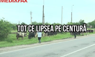 Centura Capitalei, drumul suspinelor care duce încet, dar sigur, către Lumea a treia