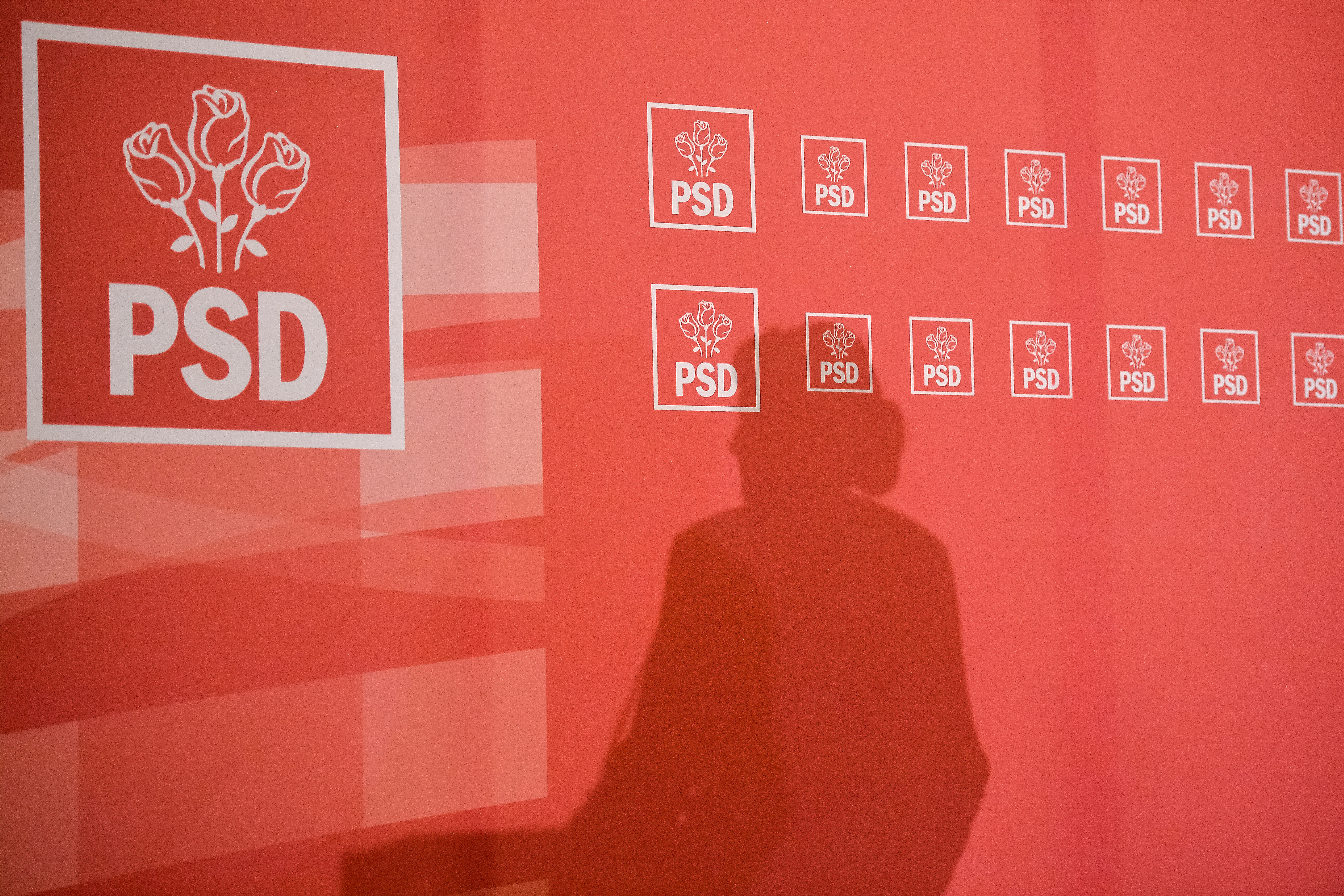 Mihai Fifor a anunţat data exactă la care PSD îşi va anunţa candidatul la prezidenţiale