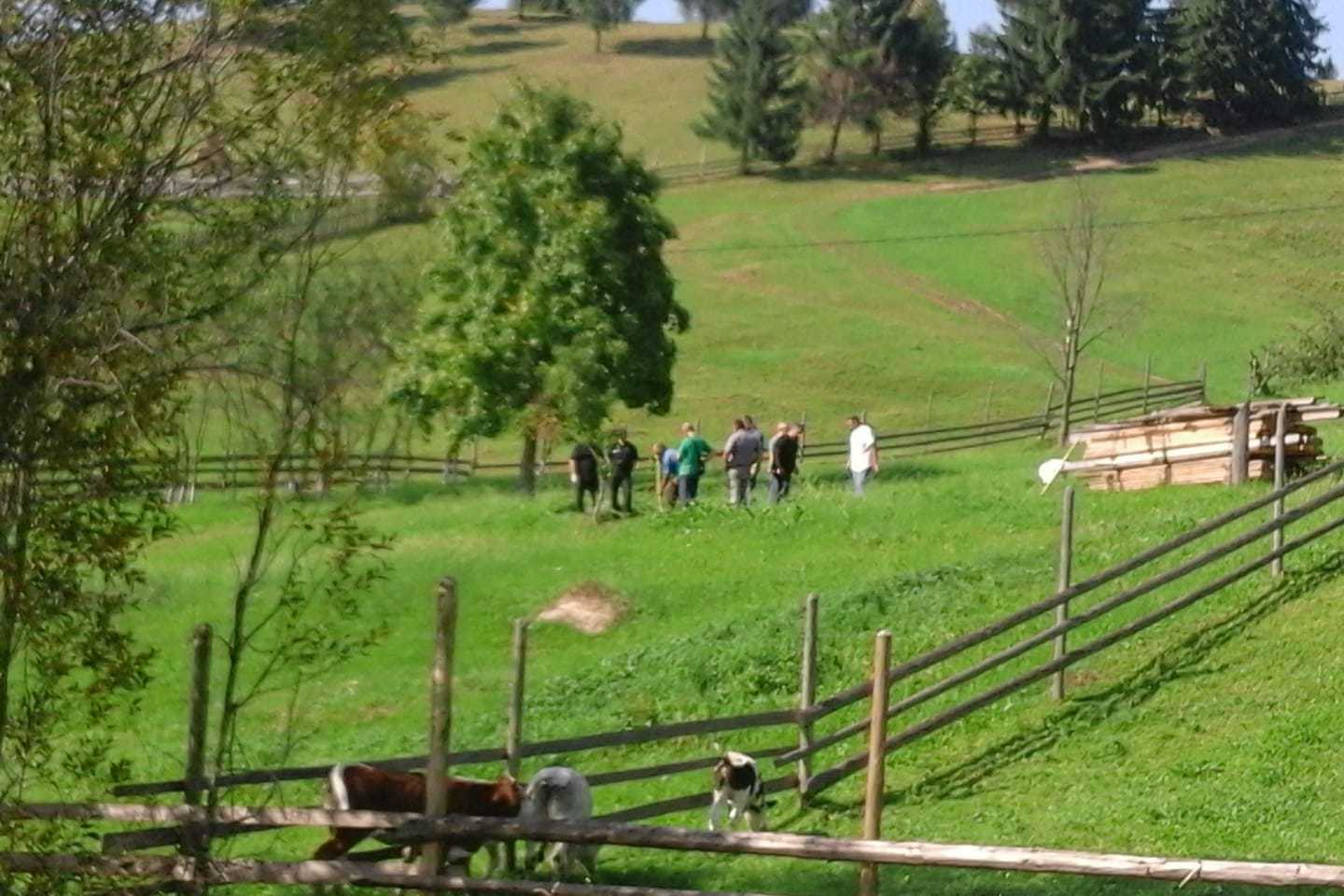 Tragedie la Suceava. Anchetatorii au ridicat noi probe din curtea femeii acuzate că şi-a asfixiat copilul