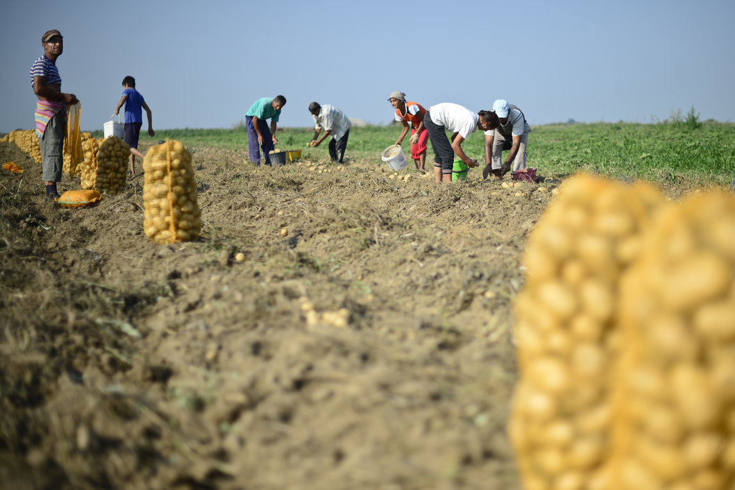 România a primit încă 176 de milioane de euro din partea UE pentru dezvoltarea satului românesc