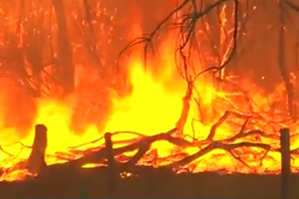 Riscul ridicat de incendii de vegetaţie în Grecia se menţine duminică