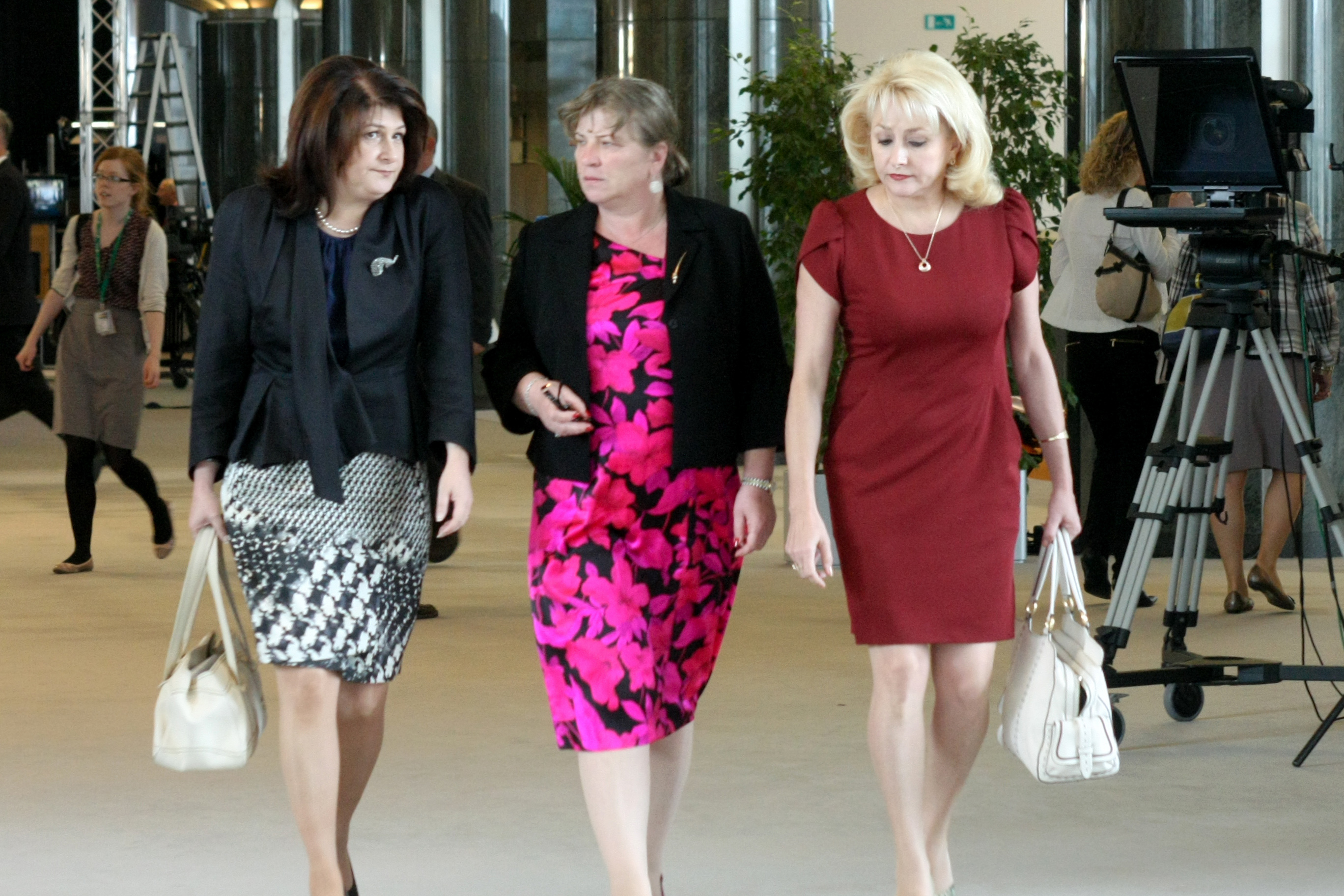 Ultimele zbateri cu capul pe buturugă