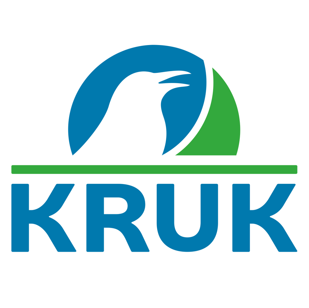 Planificarea responsabila a bugetului de venituri si cheltuieli lunare pentru a face fata datoriilor