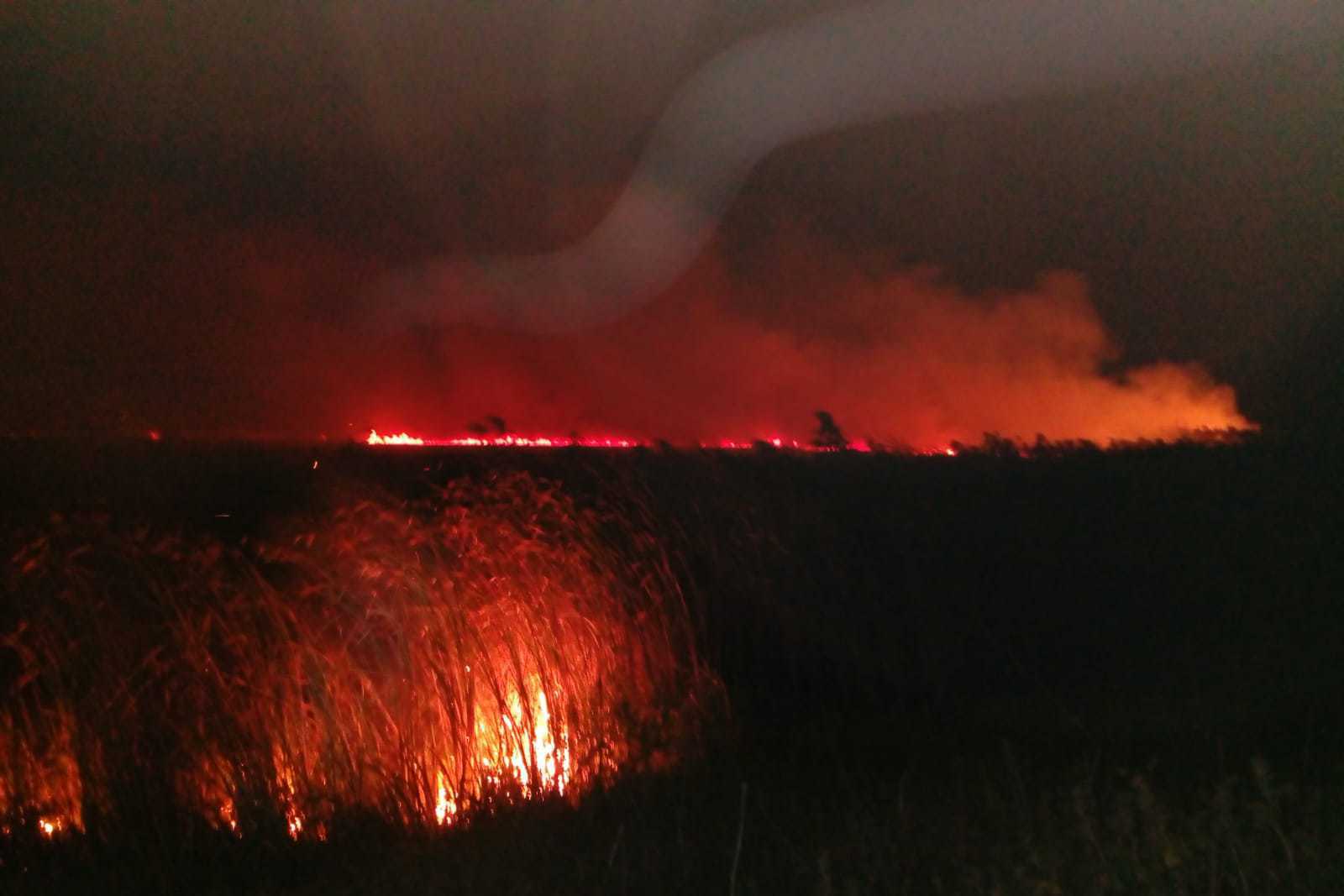 Incendiu puternic în Delta Dunării. Ard 10 hectare de vegetaţie uscată, iar intervenţia pompierilor este îngreunată de întuneric şi de terenul mlăştinos