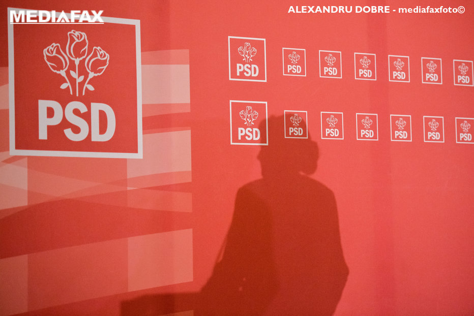 CEx PSD | Se va stabili organizărea alegerilor pentru şefia organizaţiei de femei a PSD. Dăncilă, despre o posibilă candidatură a lui Carmen Dan la şefia organizaţiei femeilor: „Mi-ar place”