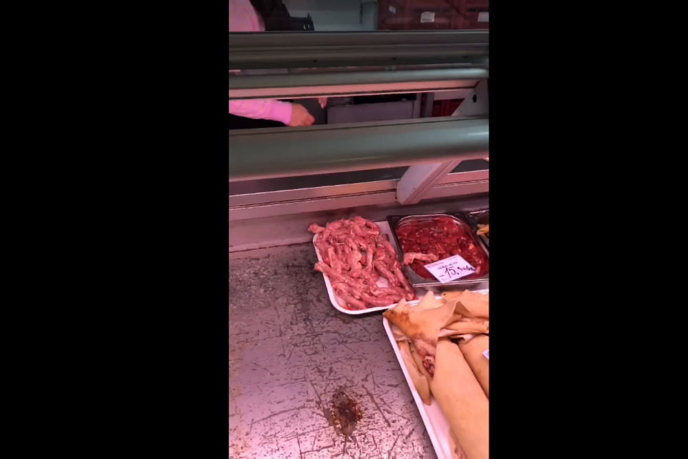 Gândaci morţi şi rugină în vitrinele frigorifice dintr-o piaţă din Alexandria